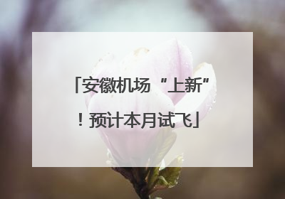 安徽机场“上新”！预计本月试飞
