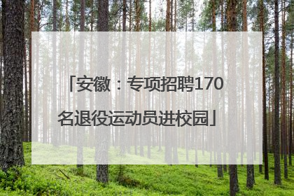 安徽：专项招聘170名退役运动员进校园