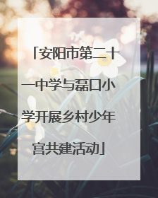 安阳市第二十一中学与磊口小学开展乡村少年宫共建活动