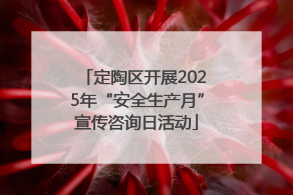 定陶区开展2025年“安全生产月”宣传咨询日活动
