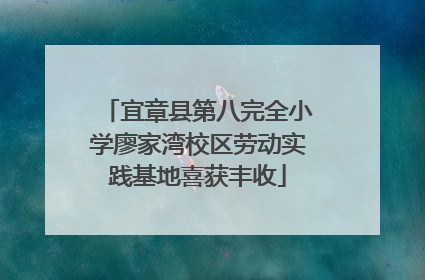 宜章县第八完全小学廖家湾校区劳动实践基地喜获丰收