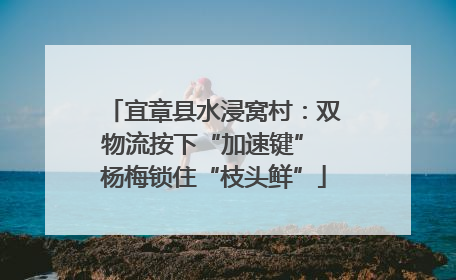 宜章县水浸窝村：双物流按下“加速键” 杨梅锁住“枝头鲜”