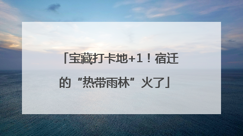 宝藏打卡地+1！宿迁的“热带雨林”火了
