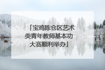 宝鸡陈仓区艺术类青年教师基本功大赛顺利举办