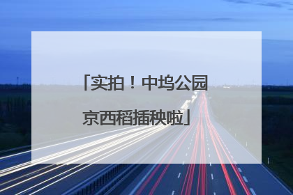实拍！中坞公园京西稻插秧啦