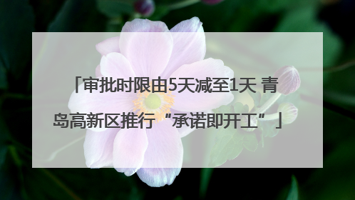 审批时限由5天减至1天 青岛高新区推行“承诺即开工”