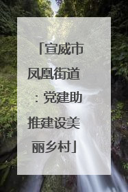 宣威市凤凰街道：党建助推建设美丽乡村