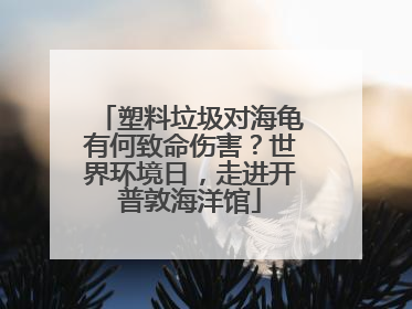 塑料垃圾对海龟有何致命伤害？世界环境日，走进开普敦海洋馆