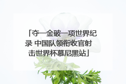 夺一金破一项世界纪录 中国队领衔收官射击世界杯慕尼黑站
