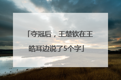 夺冠后，王楚钦在王皓耳边说了5个字