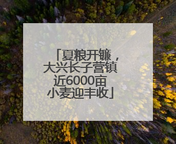 夏粮开镰，大兴长子营镇近6000亩小麦迎丰收