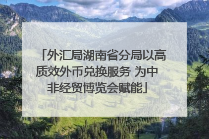 外汇局湖南省分局以高质效外币兑换服务 为中非经贸博览会赋能