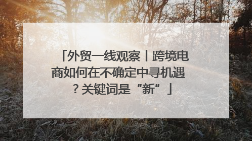 外贸一线观察丨跨境电商如何在不确定中寻机遇？关键词是“新”