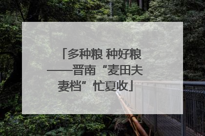 多种粮 种好粮——晋南“麦田夫妻档”忙夏收