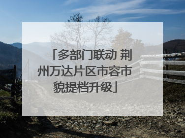 多部门联动 荆州万达片区市容市貌提档升级