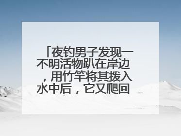 夜钓男子发现一不明活物趴在岸边，用竹竿将其拨入水中后，它又爬回岸边……