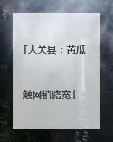 大关县：黄瓜触网销路宽