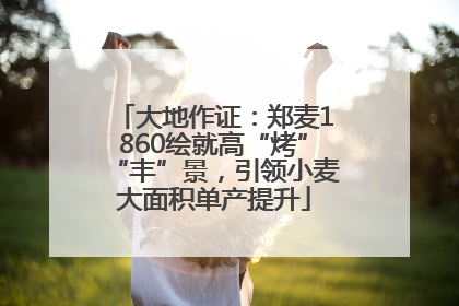 大地作证：郑麦1860绘就高“烤”“丰”景，引领小麦大面积单产提升