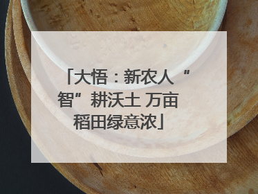 大悟：新农人“智”耕沃土 万亩稻田绿意浓