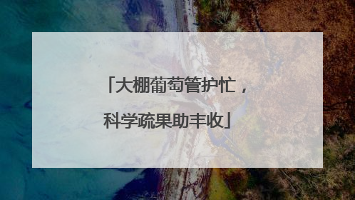 大棚葡萄管护忙，科学疏果助丰收