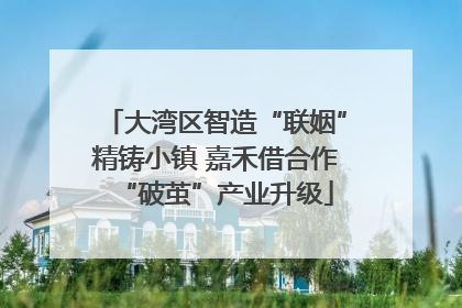 大湾区智造“联姻”精铸小镇 嘉禾借合作“破茧”产业升级