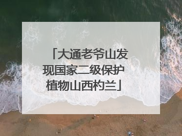 大通老爷山发现国家二级保护植物山西杓兰