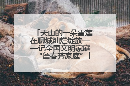 天山的一朵雪莲在聊城灿烂绽放——记全国文明家庭“詹春芳家庭”