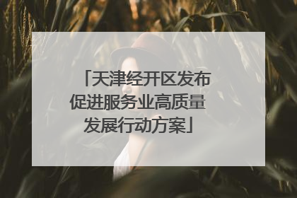 天津经开区发布促进服务业高质量发展行动方案