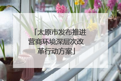 太原市发布推进营商环境深层次改革行动方案