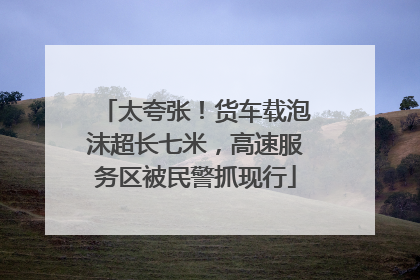 太夸张！货车载泡沫超长七米，高速服务区被民警抓现行