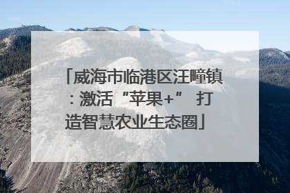 威海市临港区汪疃镇：激活“苹果+” 打造智慧农业生态圈