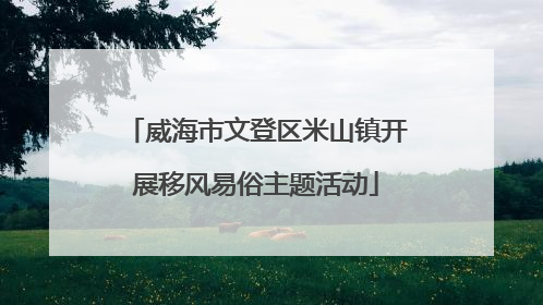 威海市文登区米山镇开展移风易俗主题活动