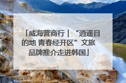 威海营商行｜“逍遥目的地 青春经开区”文旅品牌推介走进韩国