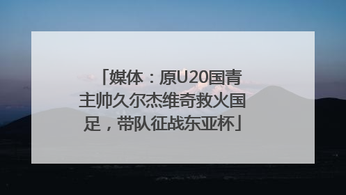 媒体：原U20国青主帅久尔杰维奇救火国足，带队征战东亚杯
