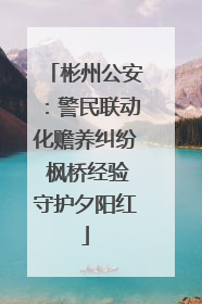 彬州公安：警民联动化赡养纠纷 枫桥经验守护夕阳红