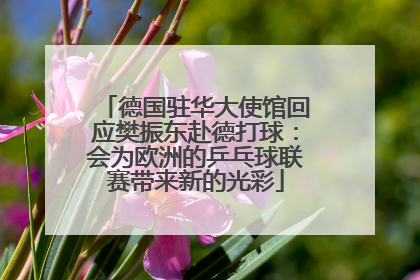 德国驻华大使馆回应樊振东赴德打球：会为欧洲的乒乓球联赛带来新的光彩