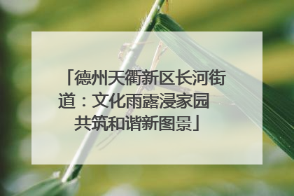 德州天衢新区长河街道：文化雨露浸家园 共筑和谐新图景