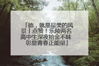 德，就是最美的风景丨点赞！乐陵两名高中生深夜拾金不昧 彰显青春正能量