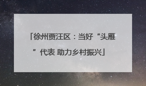 徐州贾汪区：当好“头雁”代表 助力乡村振兴