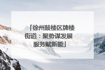 徐州鼓楼区牌楼街道：聚势谋发展 服务赋新能