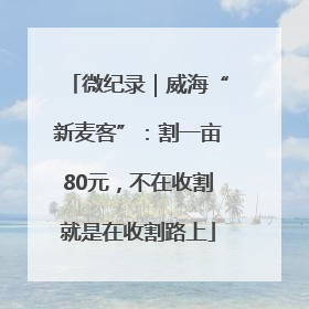 微纪录｜威海“新麦客”：割一亩80元，不在收割就是在收割路上