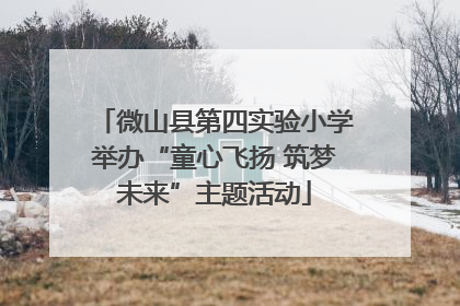 微山县第四实验小学举办“童心飞扬 筑梦未来”主题活动