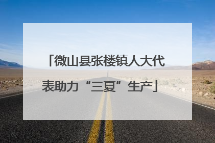 微山县张楼镇人大代表助力“三夏”生产