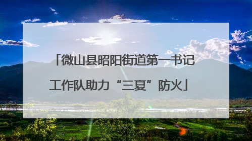 微山县昭阳街道第一书记工作队助力“三夏”防火