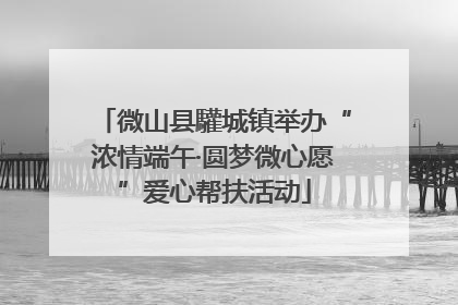 微山县驩城镇举办“浓情端午·圆梦微心愿”爱心帮扶活动
