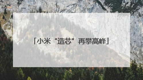小米“造芯”再攀高峰