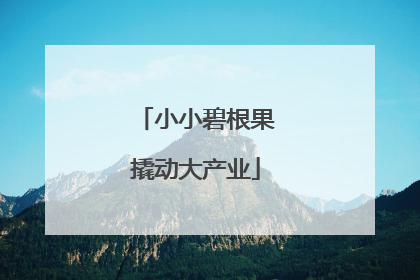 小小碧根果撬动大产业