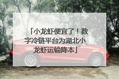 小龙虾便宜了！数字冷链平台为湖北小龙虾运输降本