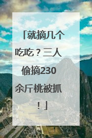 就摘几个吃吃？三人偷摘230余斤桃被抓！