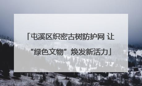 屯溪区织密古树防护网 让“绿色文物”焕发新活力
